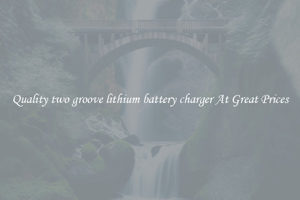 Quality two groove lithium battery charger At Great Prices