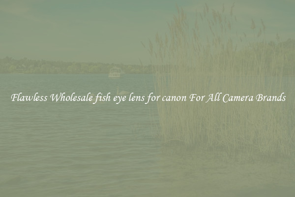 Flawless Wholesale fish eye lens for canon For All Camera Brands