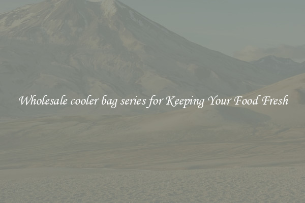 Wholesale cooler bag series for Keeping Your Food Fresh