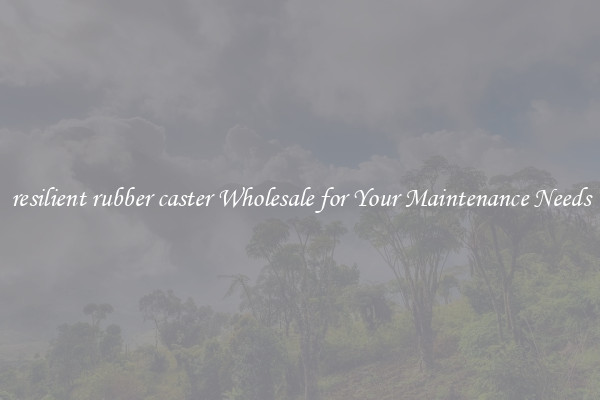 resilient rubber caster Wholesale for Your Maintenance Needs