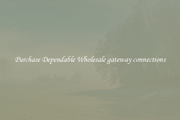 Purchase Dependable Wholesale gateway connections