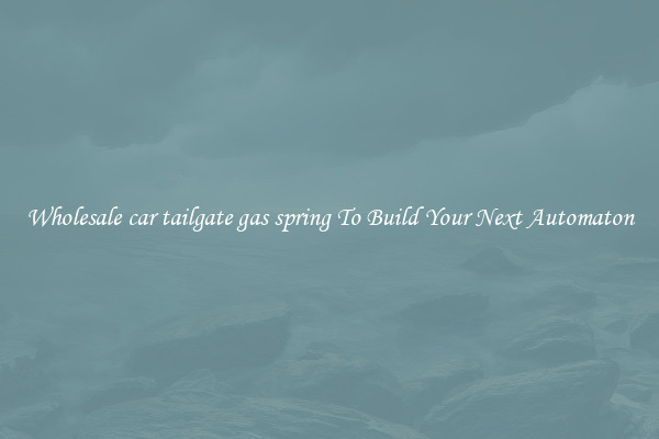 Wholesale car tailgate gas spring To Build Your Next Automaton