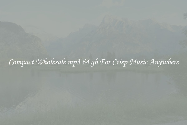Compact Wholesale mp3 64 gb For Crisp Music Anywhere