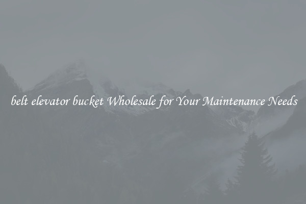 belt elevator bucket Wholesale for Your Maintenance Needs