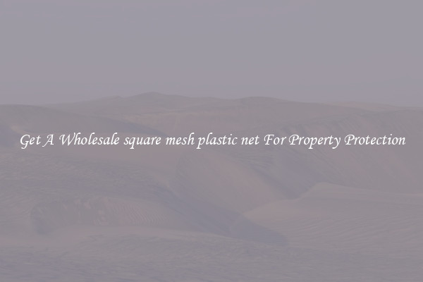 Get A Wholesale square mesh plastic net For Property Protection
