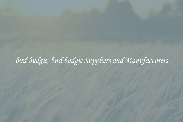 bird budgie, bird budgie Suppliers and Manufacturers