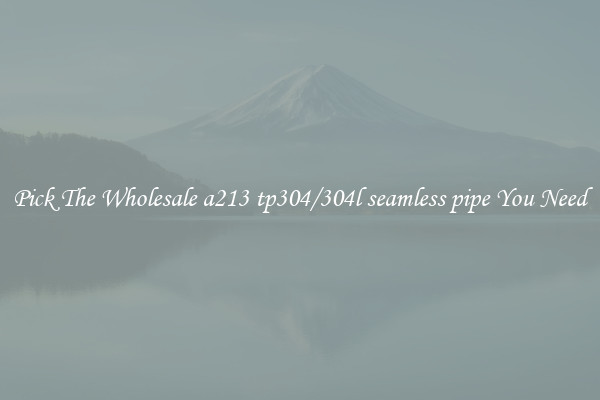 Pick The Wholesale a213 tp304/304l seamless pipe You Need