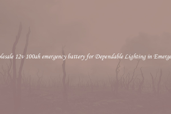 Wholesale 12v 100ah emergency battery for Dependable Lighting in Emergencies