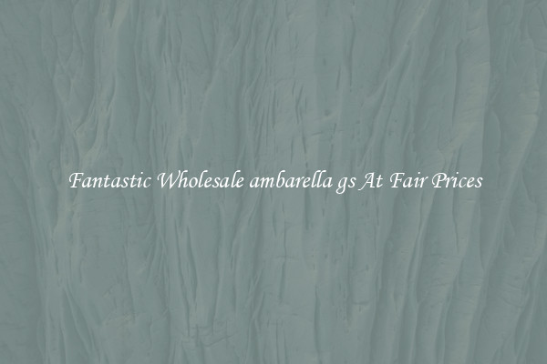 Fantastic Wholesale ambarella gs At Fair Prices