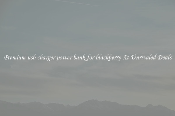 Premium usb charger power bank for blackberry At Unrivaled Deals