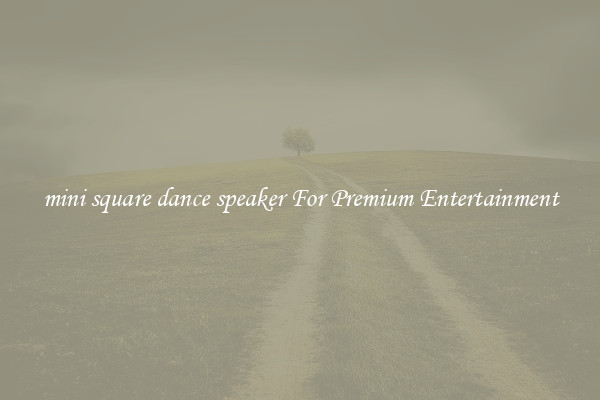 mini square dance speaker For Premium Entertainment