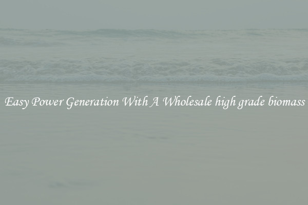 Easy Power Generation With A Wholesale high grade biomass