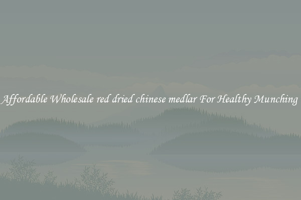 Affordable Wholesale red dried chinese medlar For Healthy Munching 