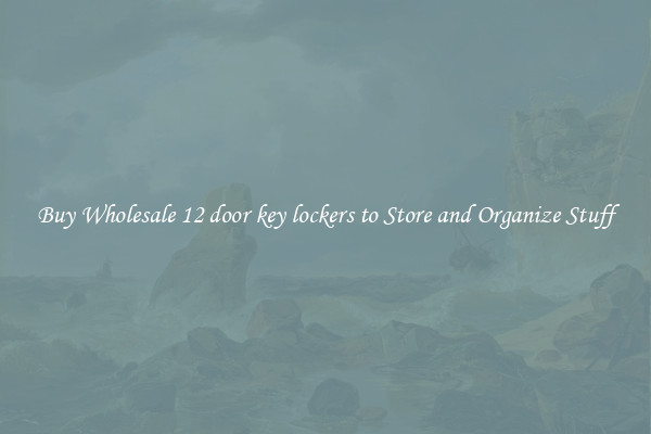 Buy Wholesale 12 door key lockers to Store and Organize Stuff