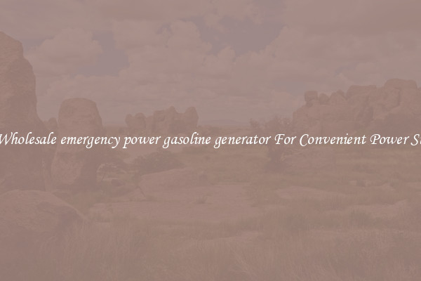 Get Wholesale emergency power gasoline generator For Convenient Power Supply