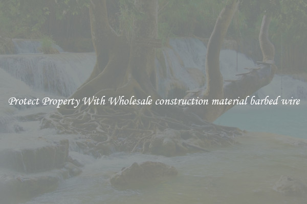 Protect Property With Wholesale construction material barbed wire