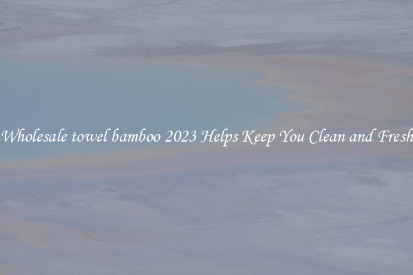 Wholesale towel bamboo 2023 Helps Keep You Clean and Fresh