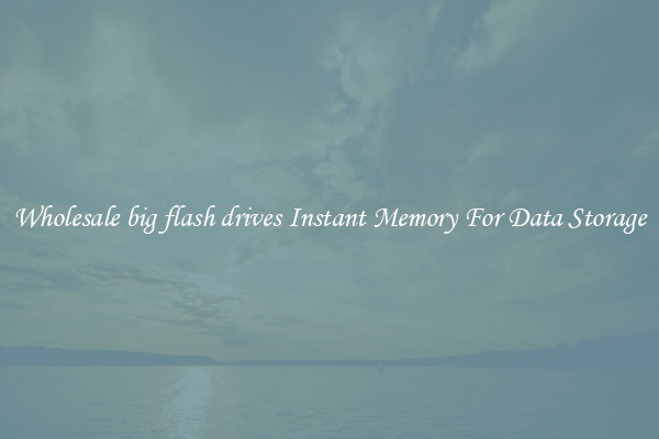 Wholesale big flash drives Instant Memory For Data Storage