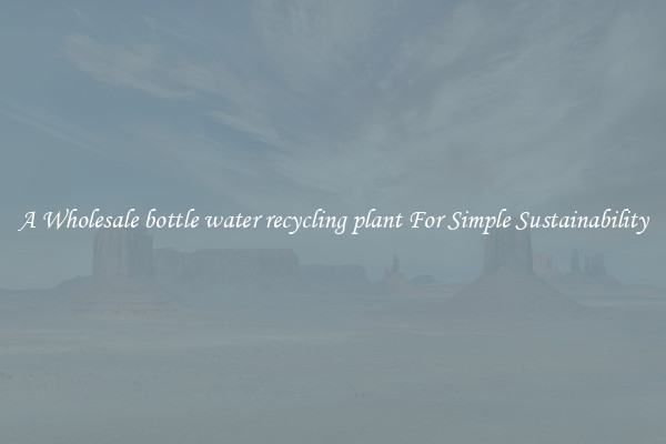  A Wholesale bottle water recycling plant For Simple Sustainability 