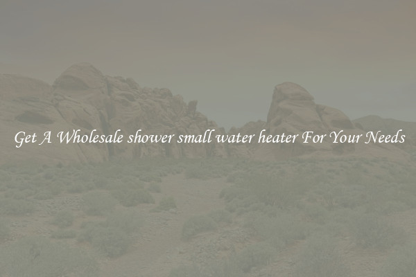 Get A Wholesale shower small water heater For Your Needs