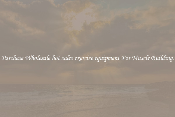 Purchase Wholesale hot sales exercise equipment For Muscle Building.